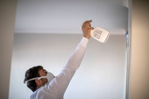 Best Mold Cleaning Services  in Lesslie, SC